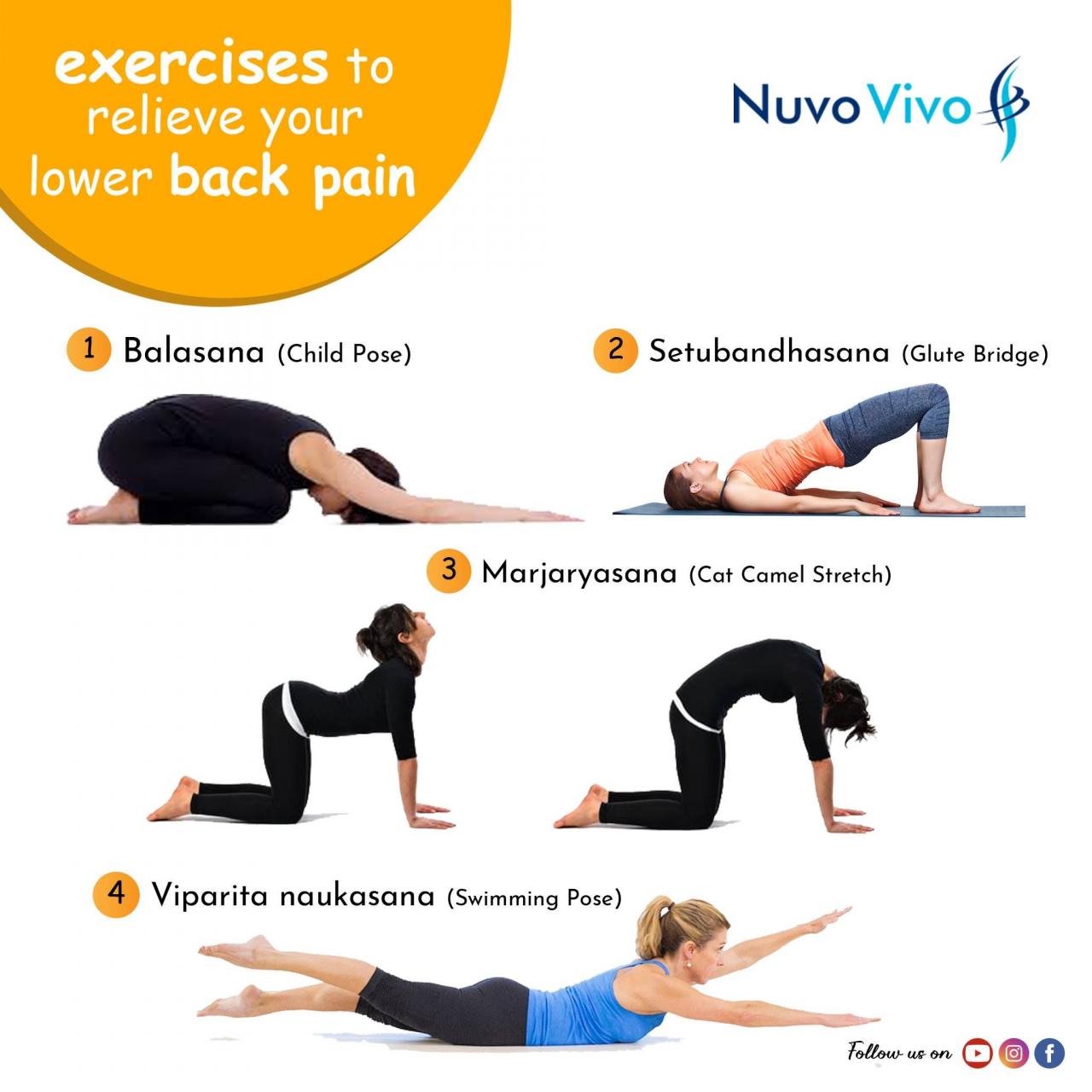 Pain exercises back low infographic breakdown